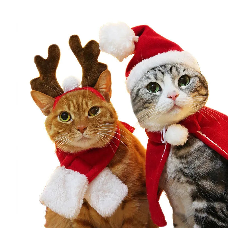 Christmas Hat & Halloween Pet Costume Set | Cat Dog Puppy Scarf Gift | New Year Santa Winter Cosplay Dog Cat Supply