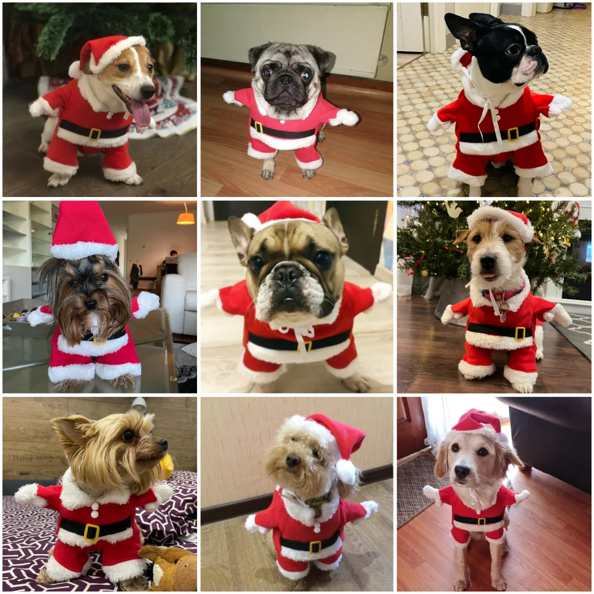 Christmas Pet Costume for Small Dogs & Cats | Funny Santa Claus Cosplay Dog Jumpsuit | Cute Pets Clothes for Chihuahua & Pug Coat