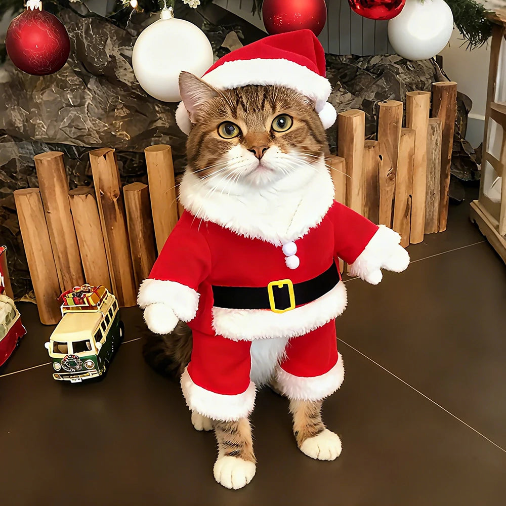 Christmas Pet Costumes | Cute Kitten Santa Claus Clothes for Small/Medium Dogs & Cats | Holiday Party Dress Up Apparel & Sphynx Outfits